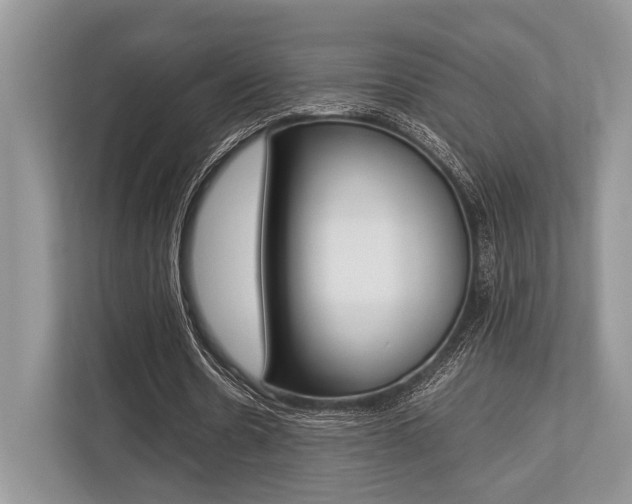 X0000113760530200909230949