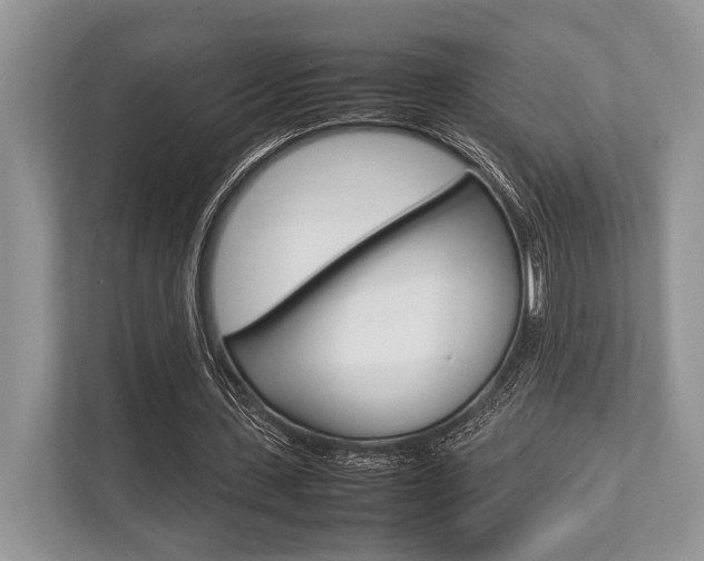 X0000113760531200909230949
