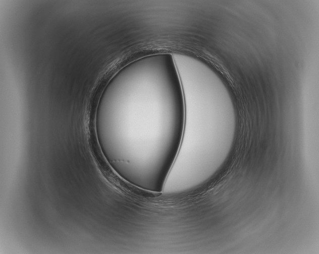 X0000113760538200909230949