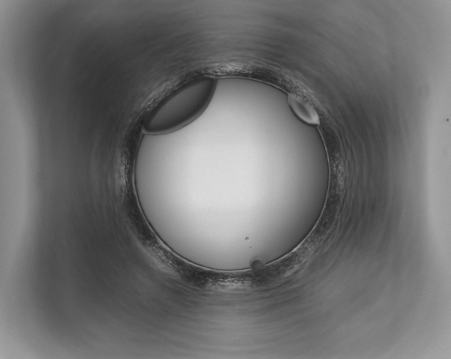 X0000113760546200909230949