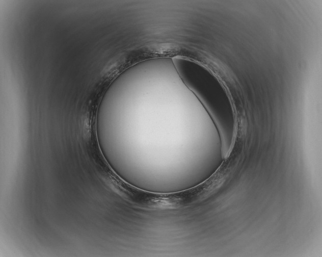 X0000113760558200909230949