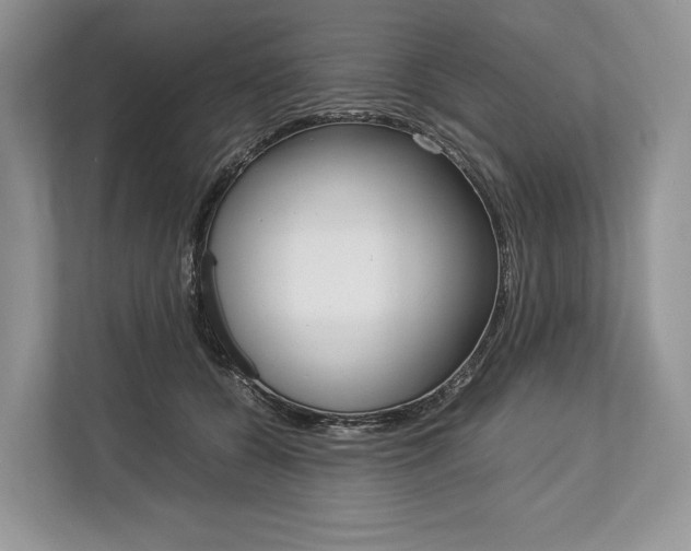 X0000113760560200909230949