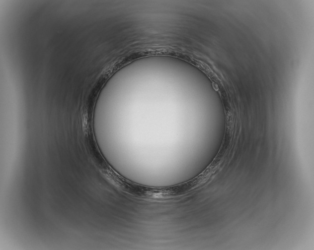 X0000113760564200909230949