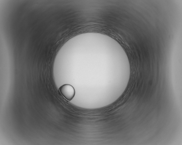 X0000113760568200909230949