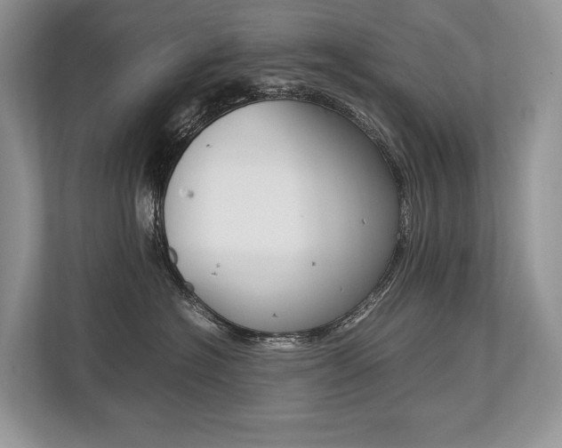 X0000113760574200909230949