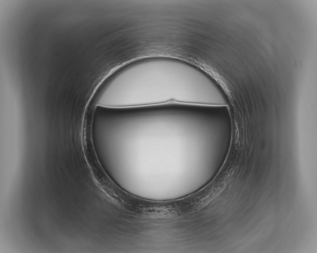 X0000113760580200909230949