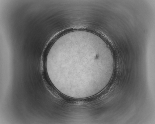 X0000113760584200909230949