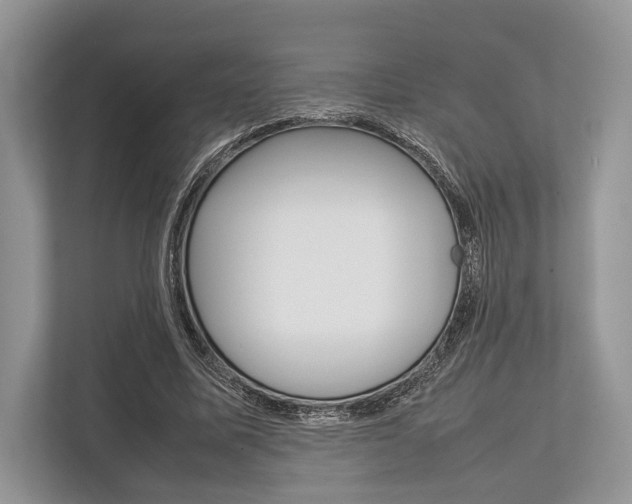 X0000113760587200909230949