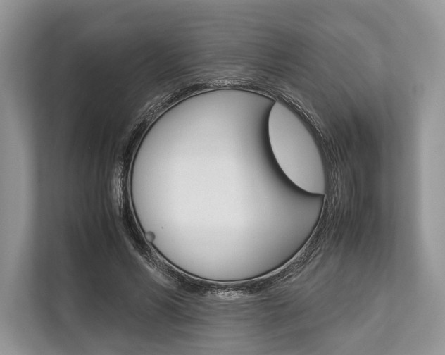 X0000113760590200909230948