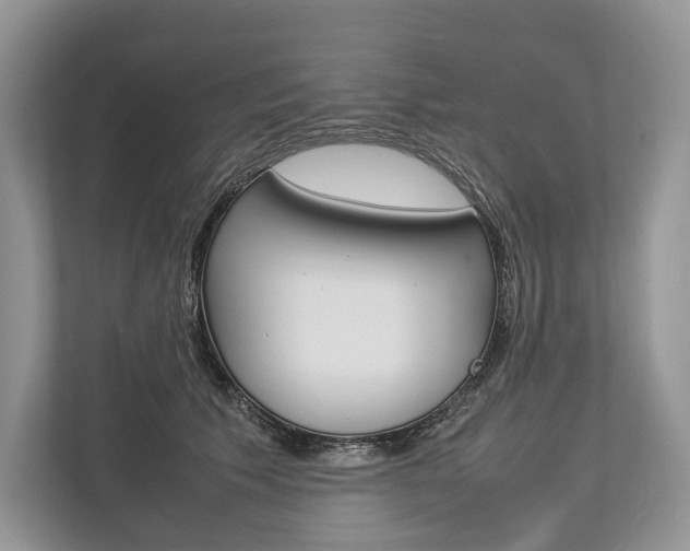 X0000113760609200909230948