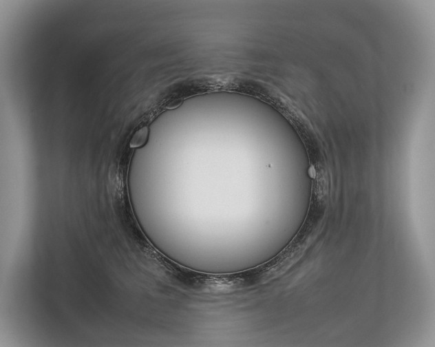 X0000113760613200909230948
