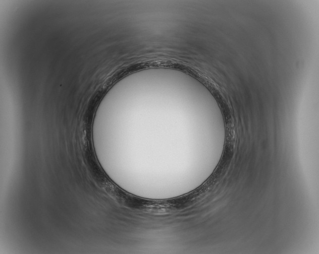 X0000113760615200909230948