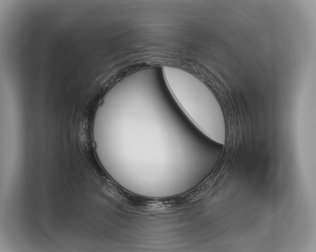 X0000113760616200909230948