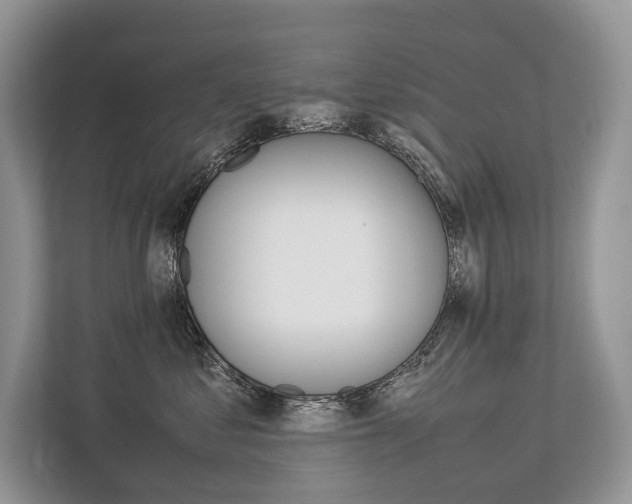 X0000113760621200909230948