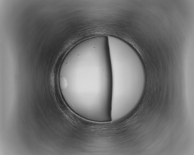 X0000113760626200909230947