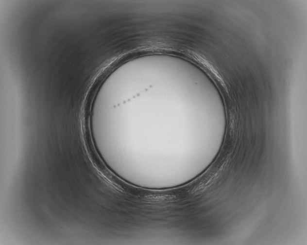 X0000113760629200909230947