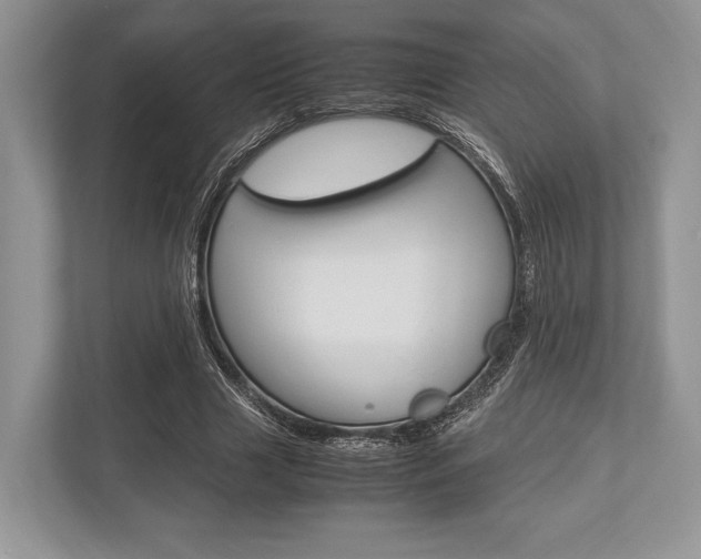 X0000113760633200909230947
