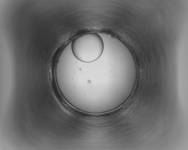 X0000113760638200909230947