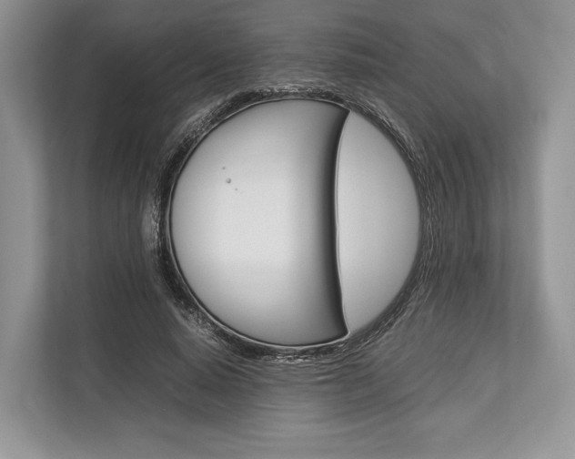 X0000113760640200909230947