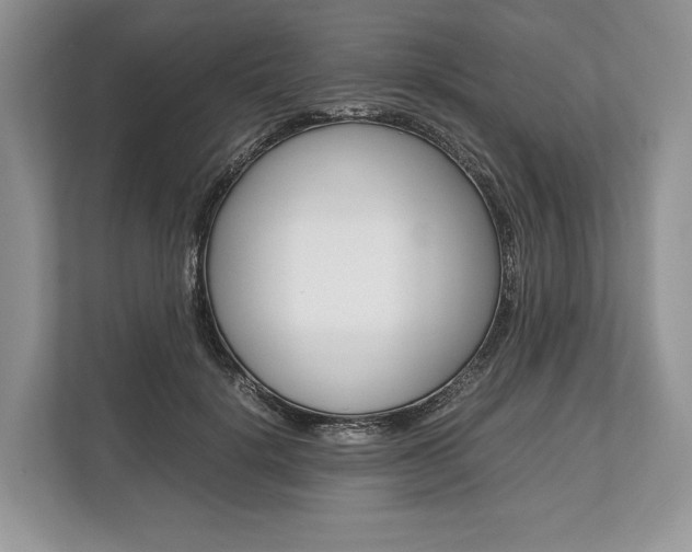 X0000113760652200909230948