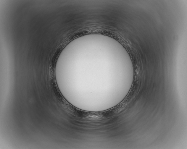 X0000113760659200909230948