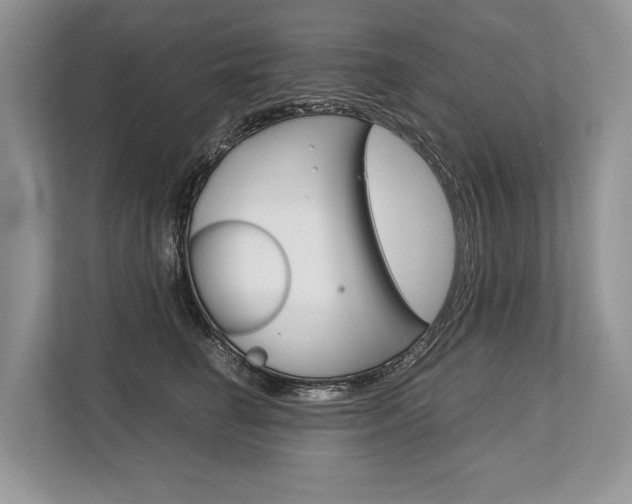 X0000113760662200909230948