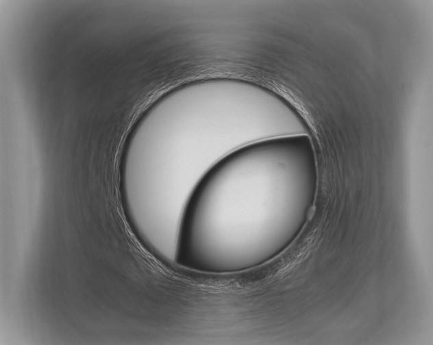 X0000113760673200909230947