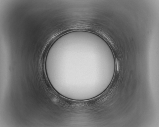 X0000113760675200909230947