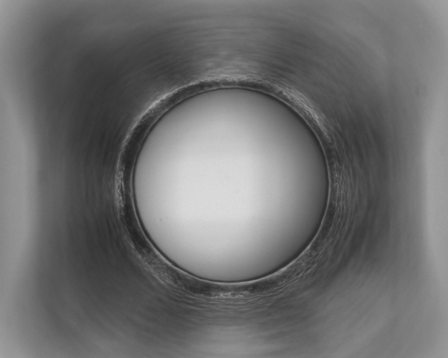 X0000113760680200909230947