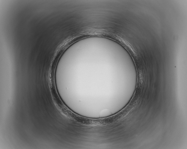 X0000113760682200909230947