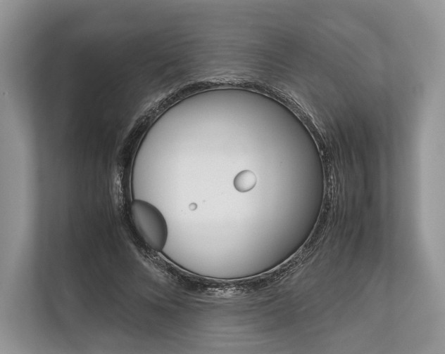 X0000113760688200909230947