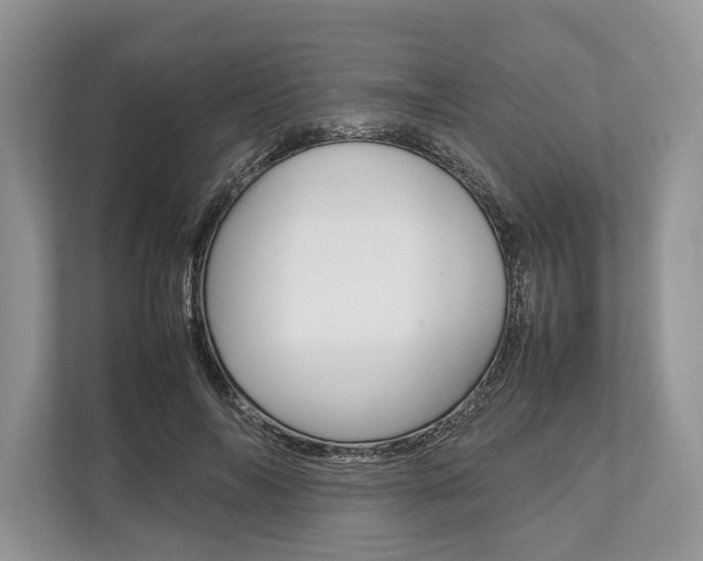 X0000113760694200909230947