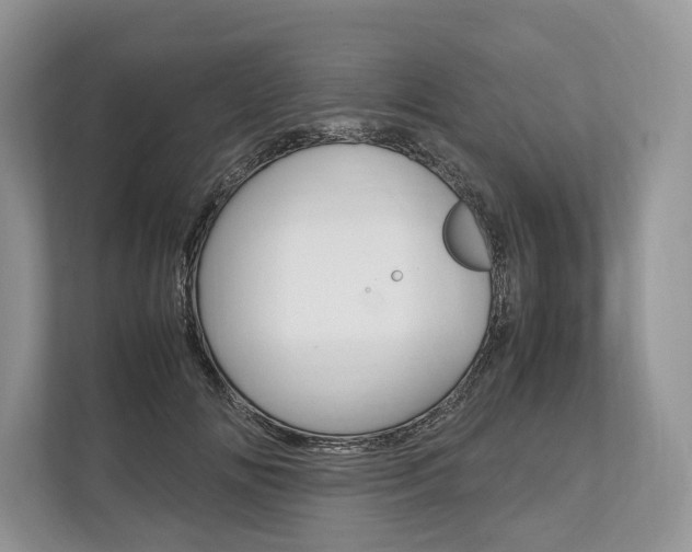 X0000113760702200909230947