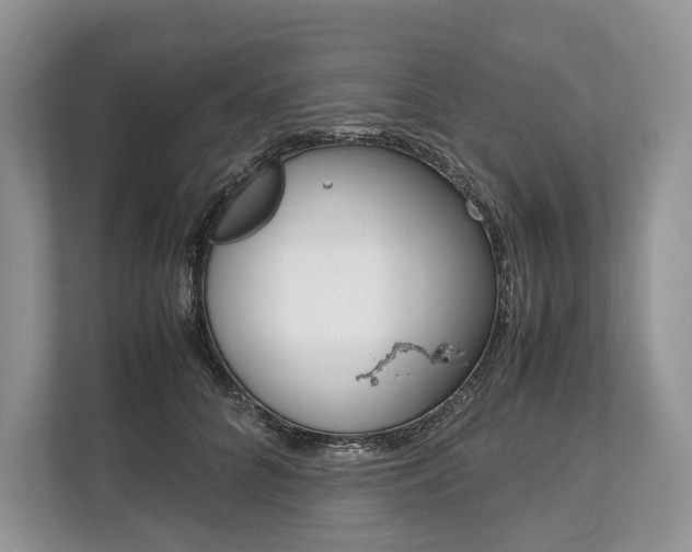 X0000113760704200909230947