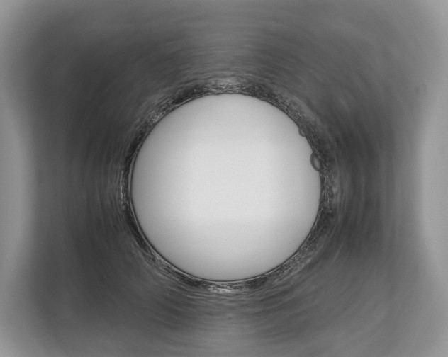 X0000113760706200909230947