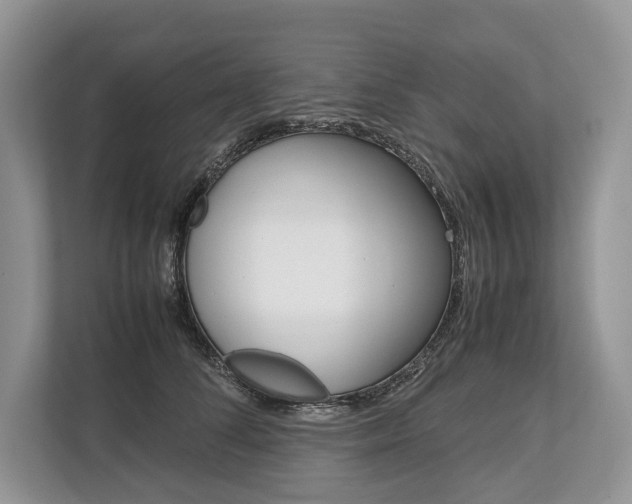 X0000113760708200909230947