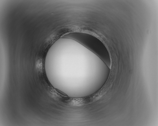 X0000113760720200909230947