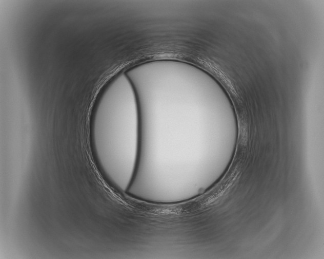 X0000113760721200909230946