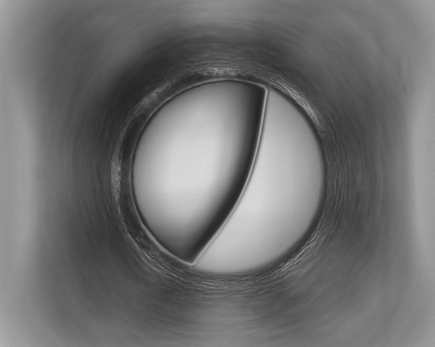 X0000113760722200909230946