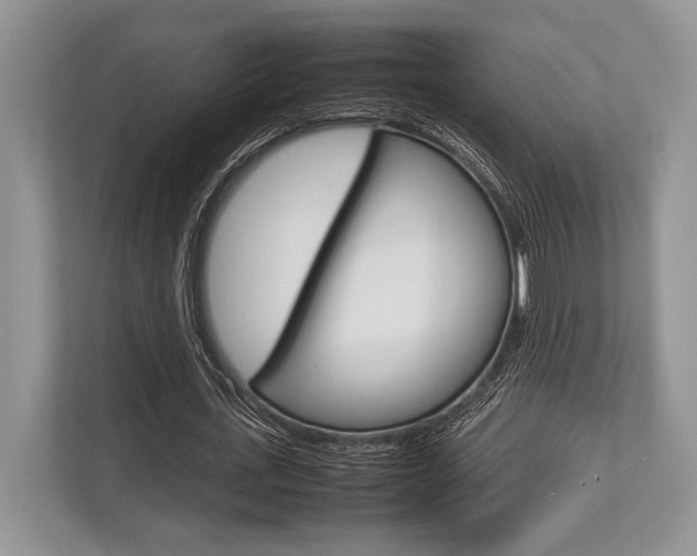 X0000113760723200909230946