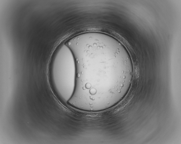 X0000113760725200909230946