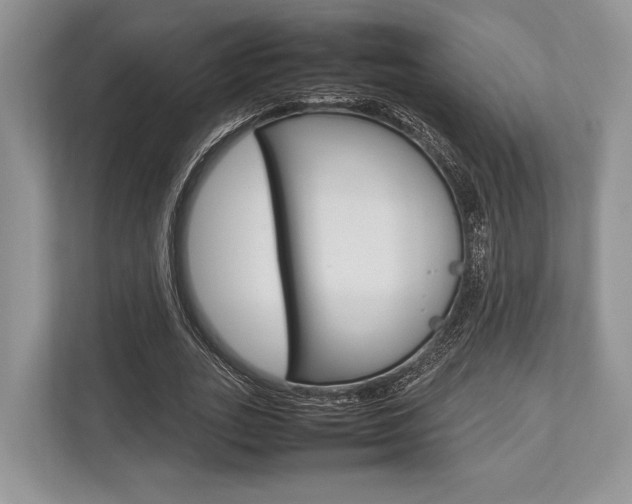 X0000113760727200909230946