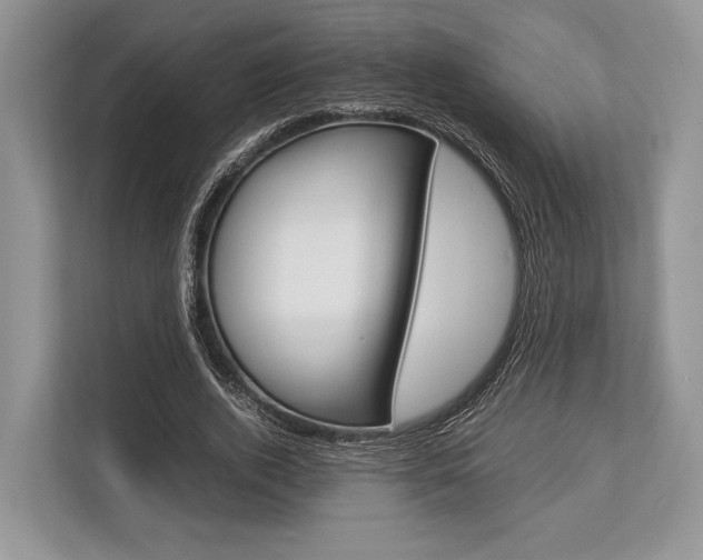 X0000113760728200909230946