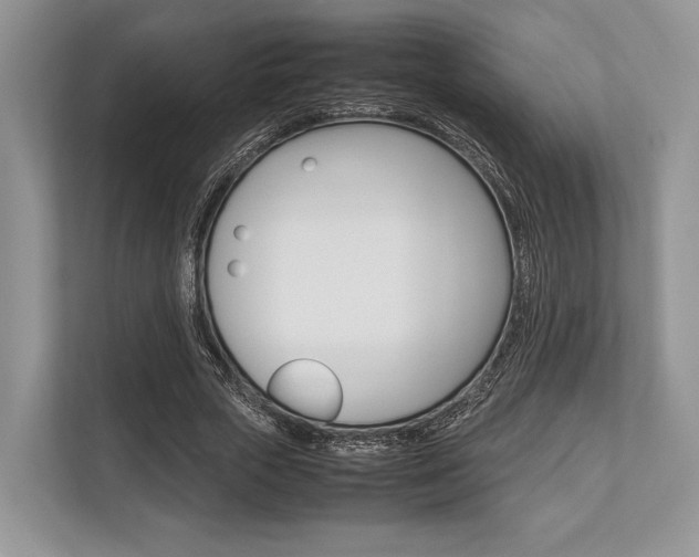 X0000113760729200909230946