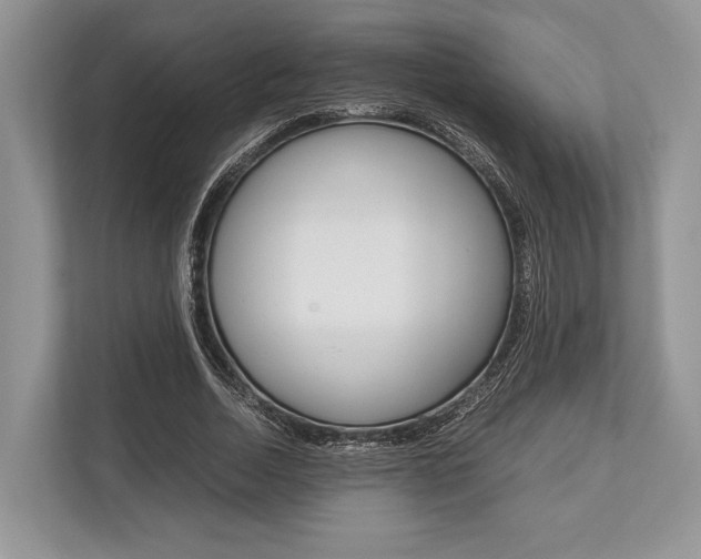 X0000113760730200909230946