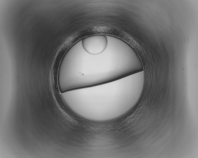X0000113760734200909230946