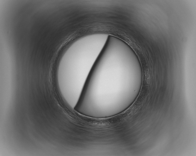 X0000113760735200909230946