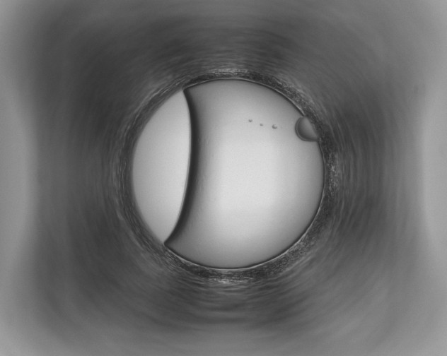 X0000113760739200909230946