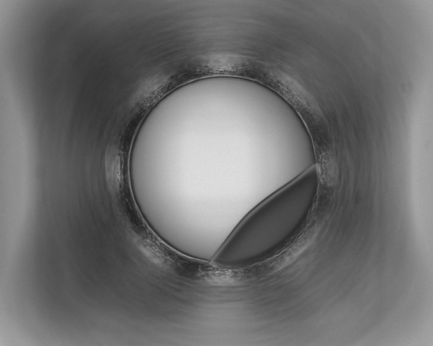 X0000113760740200909230946
