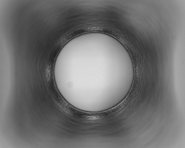 X0000113760741200909230946